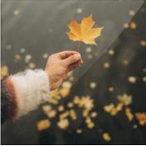 告别（prod by Lyoung）