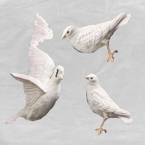 Number (feat. Freak Slug)