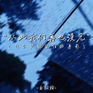 从此我们再也没见 (什么梦能留住你身影)