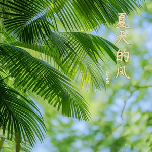 夏天的风