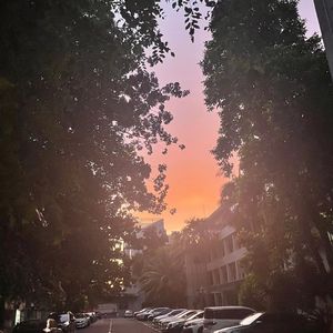 日升那天在我身边