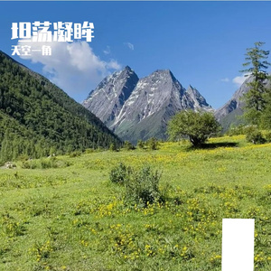 坦荡凝眸