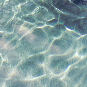 Snorkel