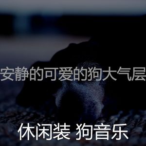 一尘不染小狗印象数