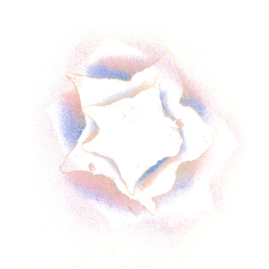 Nectarine