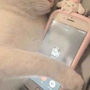 我好像掉进爱情海里