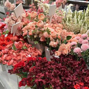 你是我的玫瑰花 庞龙