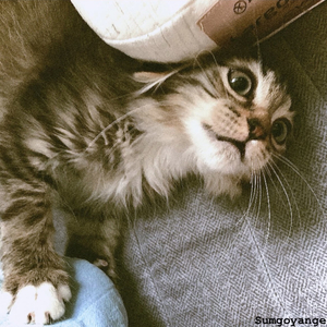 쓸어도 남아 있는 그 티끌 같은 거 말이야