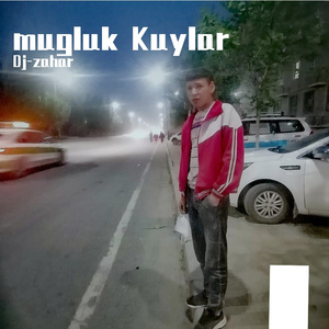 Hayat yoli（吉他音乐）