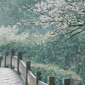 三寸天堂（钢琴版）