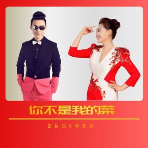 你不是我的菜-彭运铝 蒋鲁湘