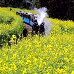 blowing in the wind (答案在风中飘零）（翻自 Bob Dylan）