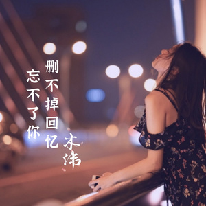 一半痴情一半泪 (Dj版)