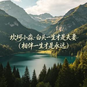 白头一生才是夫妻（相伴一生才是永远）