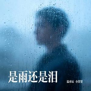 是雨还是泪
