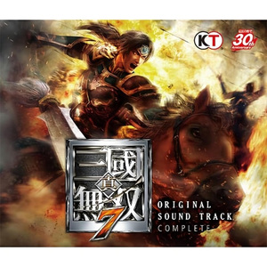 合肥新城の戦い