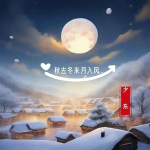 秋去冬来月如风