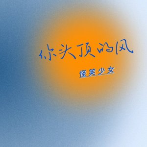 你头顶的风