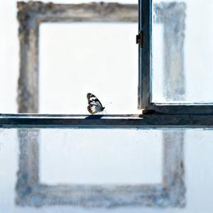 我不介意你的曾经