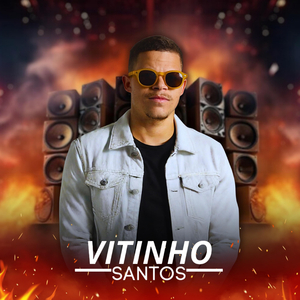 Vidigal
