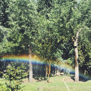 成全【吉他弹唱版】