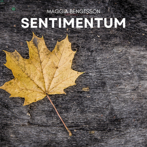 Sentimentum