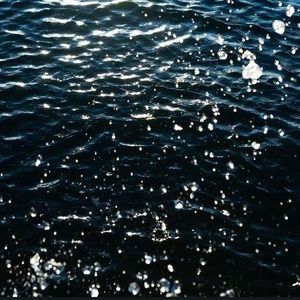 生物多样性(Prod.EVOMUSIC）