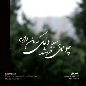 Khamoosh (Rework of M.R Shajarian)