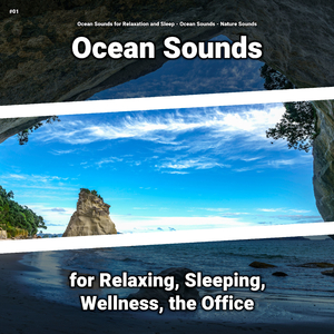 Ocean Sounds to Work To
