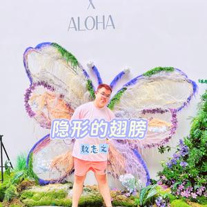 隐形的翅膀（伴奏）