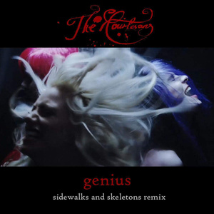 Genius (Sidewalks and Skeletons Remix)