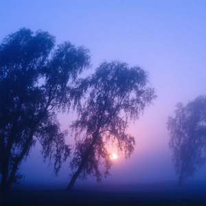晚风入梦伴安宁