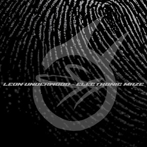 Electronic Maze (Radio Edit)