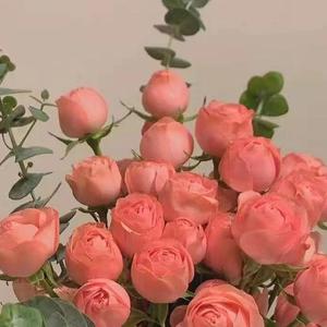 可以再浪漫一点