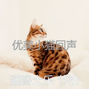 微妙的小猫心情