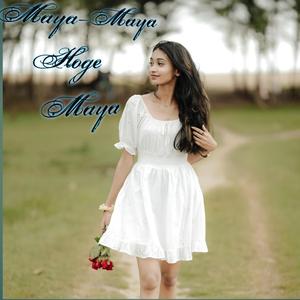 माया माया होगे माया cg flute instrumentaI music