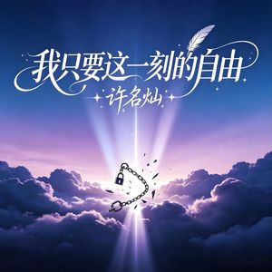 我只要这一刻的自由