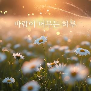 바람이 머무는 하루