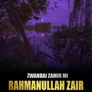 Zwandai Zamir Mi