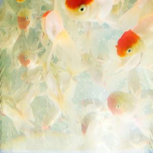 Luv Supreme (7.3.21)