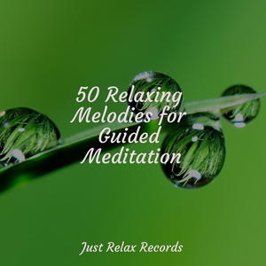 Enchanted Summit Solitude