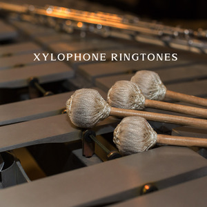 Xylophone Wake Up