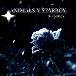 Animals x Starboy
