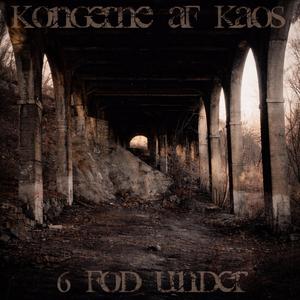 Bjerggorillaer I Tågeskoven