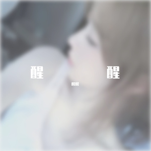 醒醒-月光石.wav（醒醒 remix）