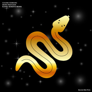 Profusion (Kamal Semenyo Remix)