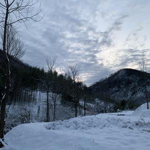 [FREE]Trap Type Beat 冷风