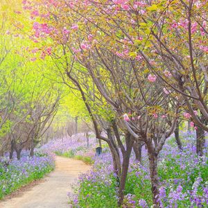 长街听风（纯音乐）