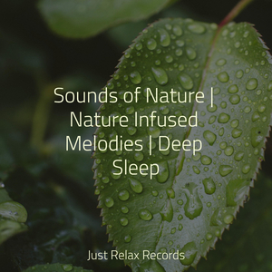 Echoes of Silent Wisdom