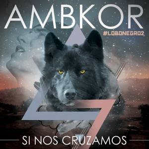 Si Nos Cruzamos